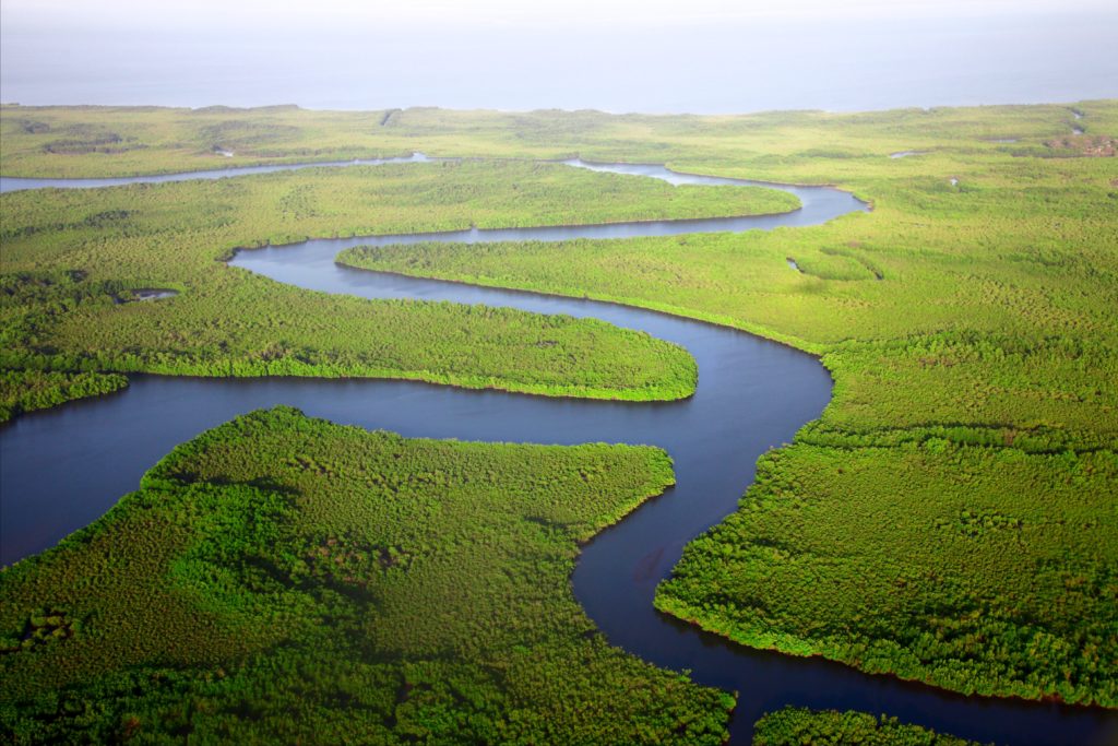 A photograph of virgin forests around a river in The Gambia - rivers important.
