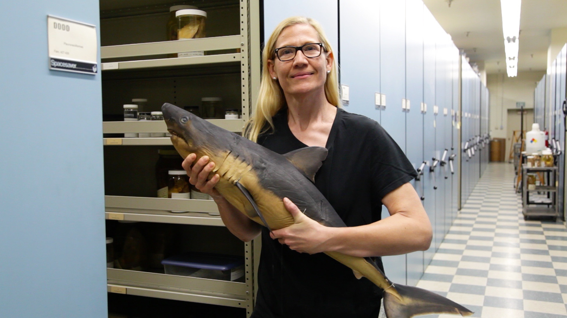 A photograph of Christine Thacker holding an inanimate shark.