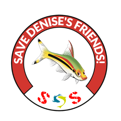 Save Denise's Friends logo