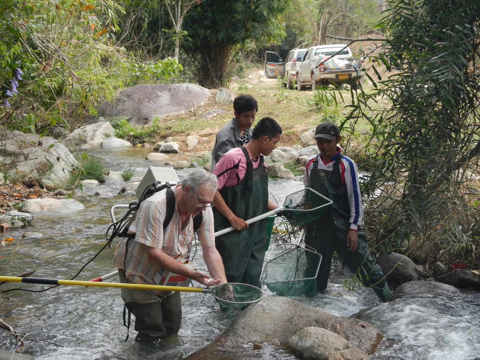 A photograph of four men knee deep in water, including Maurice Kottelat, holding fishing nets.)