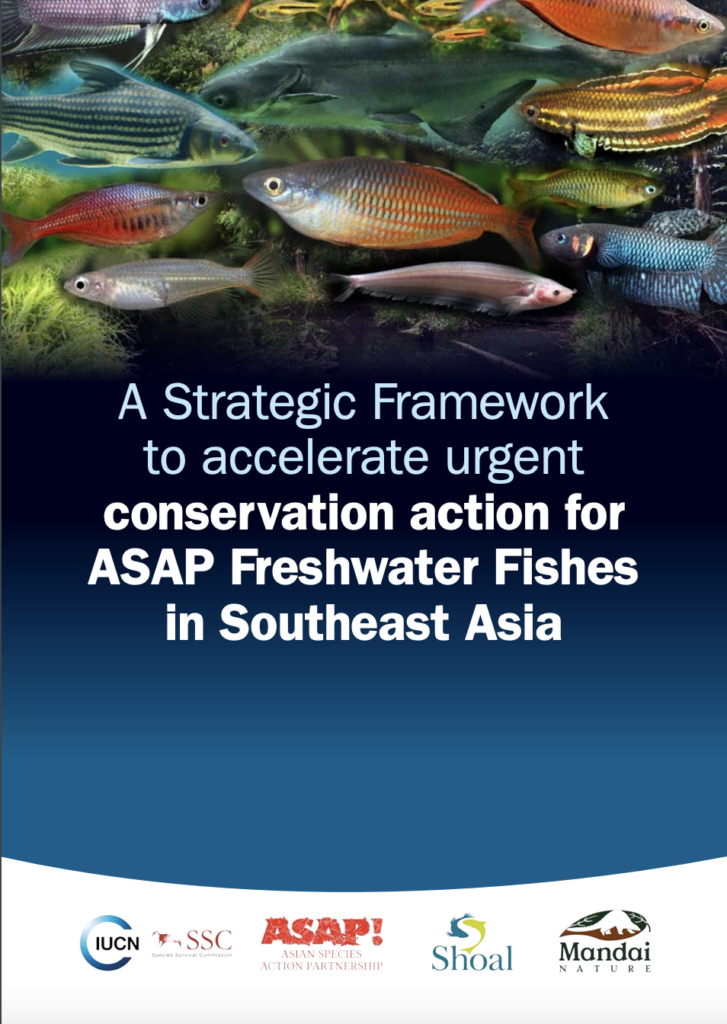 The front cover of A Strategic Framework to accelerate urgent conservation action for ASAP Freshwater Fishes in Southeast Asia. Blue with lots a fish at the top and logos at the bottom.