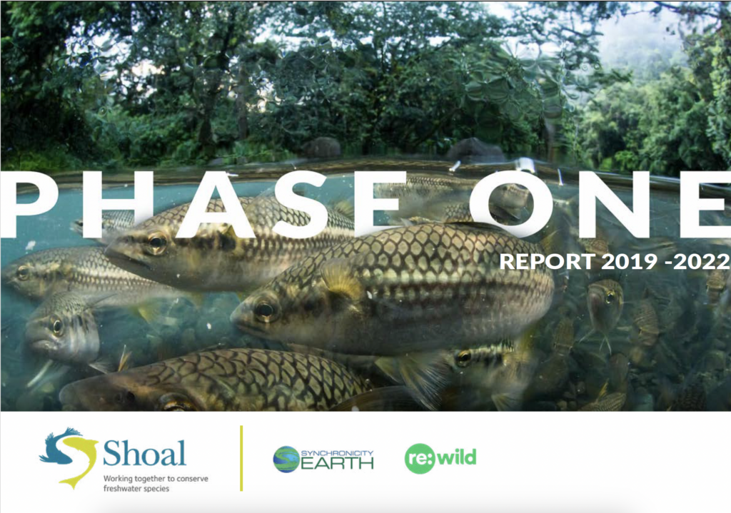 SHOAL's Phase One report front cover