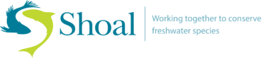 Shoal Logo