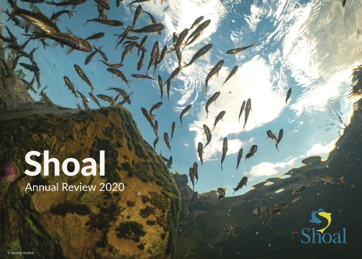 Shoal Annual Review 2020