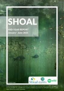 SHOAL mid-year report 2021