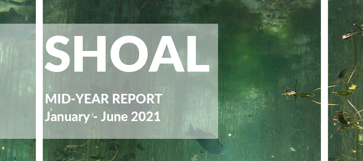 Mid-year report 2021 published