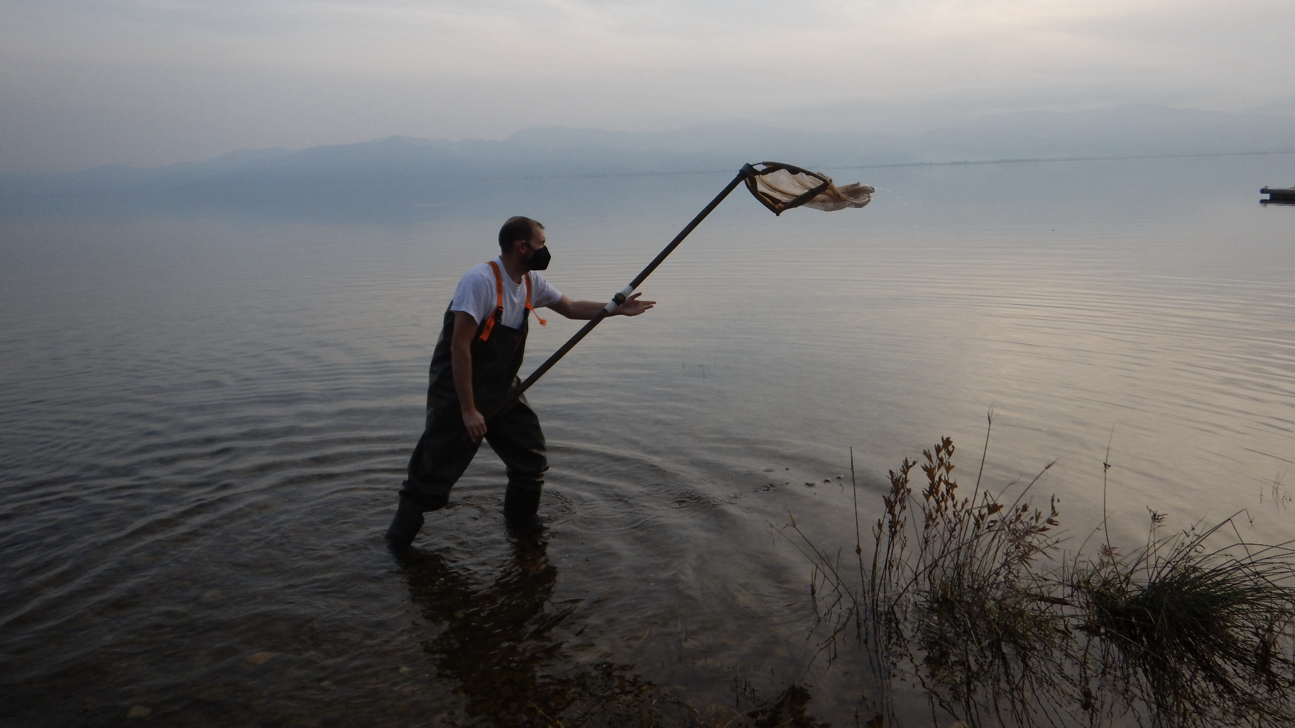 Study monitors native and alien freshwater fish in Greece