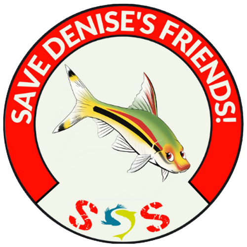 SOS_logo-02