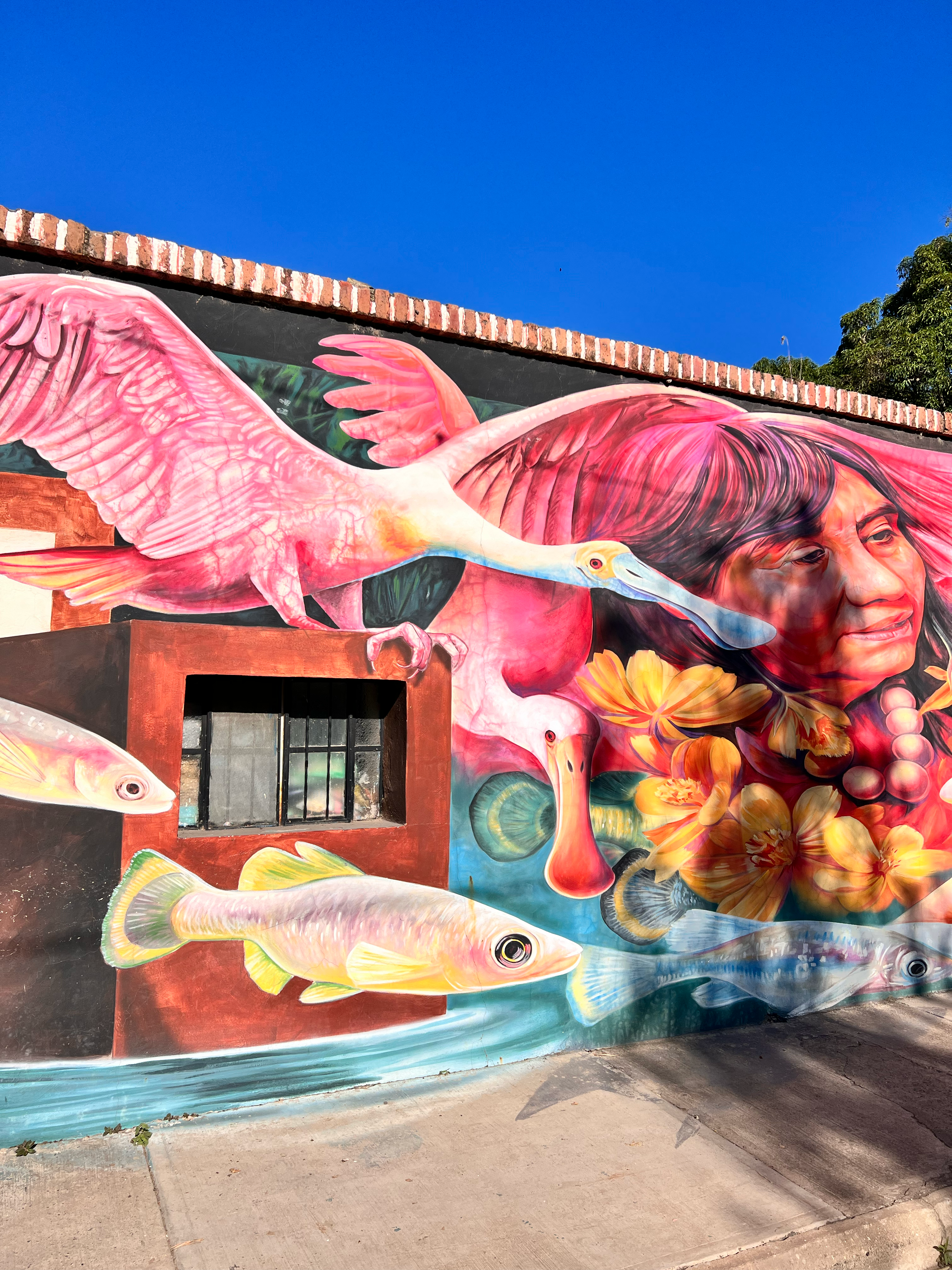 A mural near the Teuchitlán River in Jalisco, Mexico, of Consuela, a local teacher and conservationist, and the golden skiffia