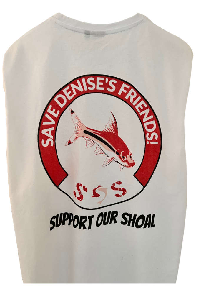 Save Denise's Friends logo - back