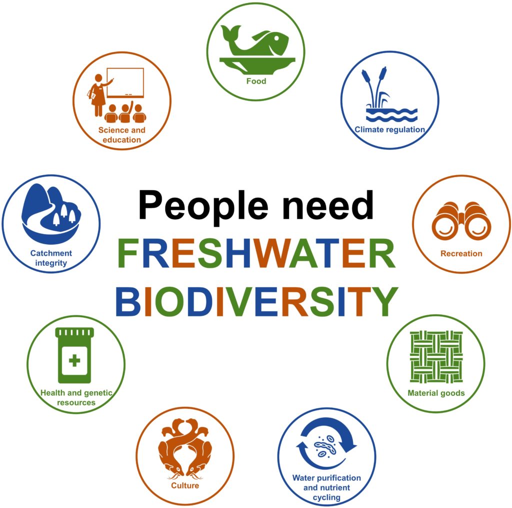 A graphical abstract of nine fundamental ecosystem services that the biotic components of indigenous freshwater biodiversity provide to people. Text in centre says "people need freshwater biodiversity". There are nine circles around the outside which have text and matching icons in. From the top, clockwise, they say: "Food", "Climate regulation", "Recreation", "Material goods", "Water purification and nutrient cycling", "culture", "health and genetic resources", "catchment integrity", and "science and education".