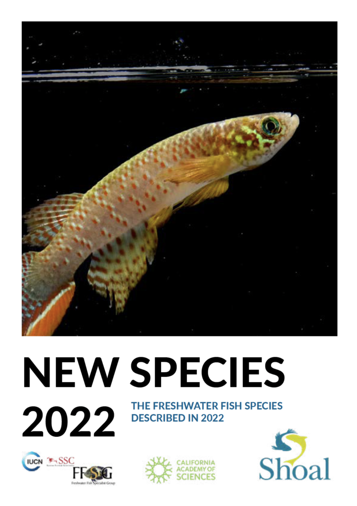 New Species 2022