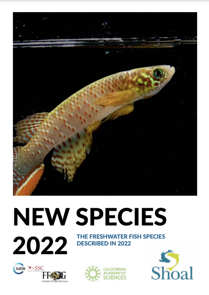 2022 THE FRESHWATER FISH SPECIES DESCRIBED IN 2022