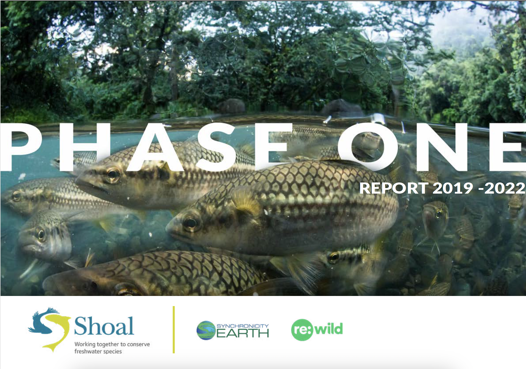 SHOAL's Phase One report front cover