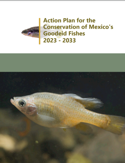 Action Plan for the Conservation of Mexico's Goodeid Fishes 2023 - 2033