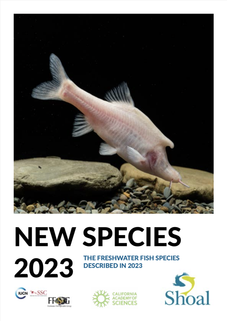 New Species 2023