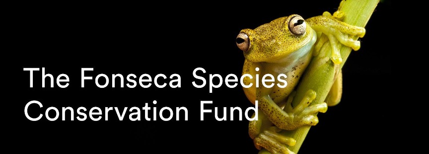 Request for Proposals: Asia-Pacific – Fonseca Species Conservation Fund