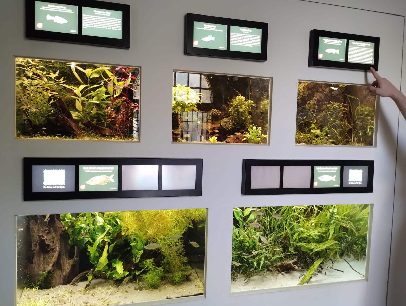 Rostock Zoo's Aquarium