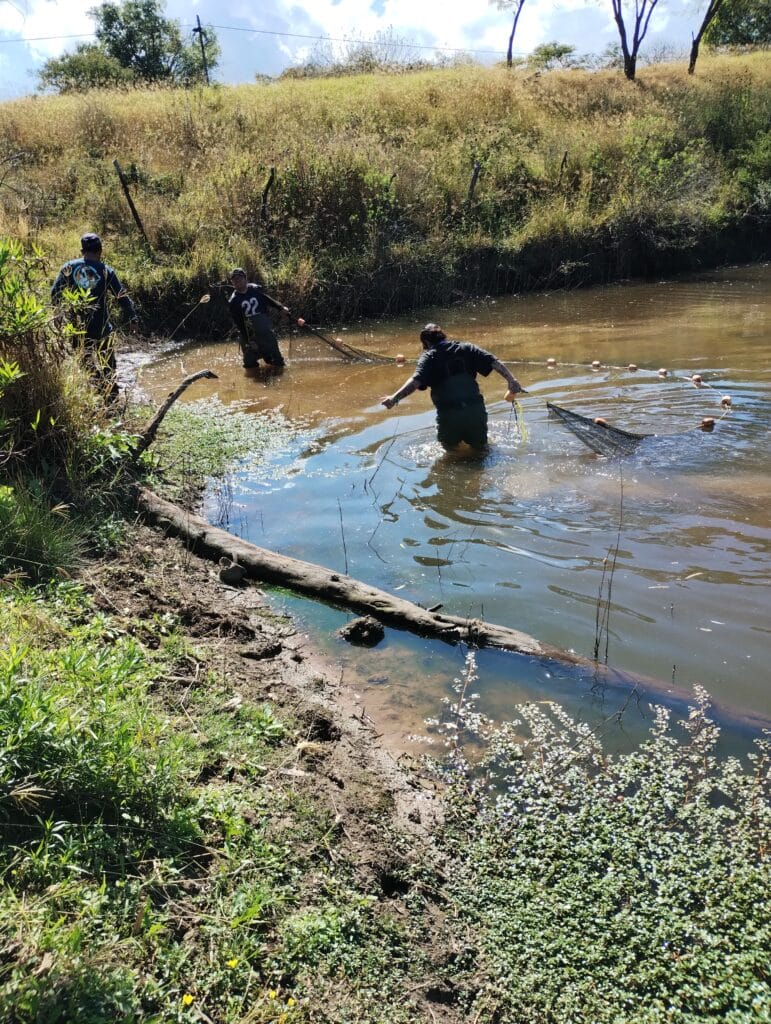 a small water reservoir in the Mexican highlands, eventually a place for Skiffia francesae reintroduction © Mike Köck/Plan G