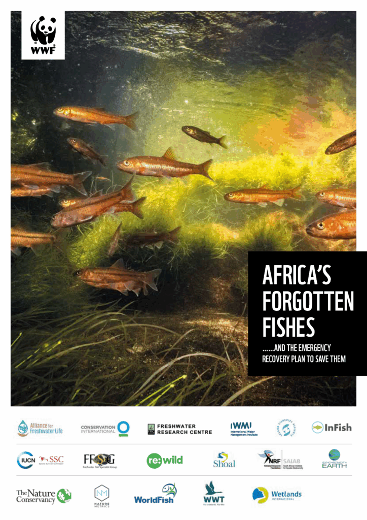 Pages from wwf_africas_forgotten-fishes_for-upload