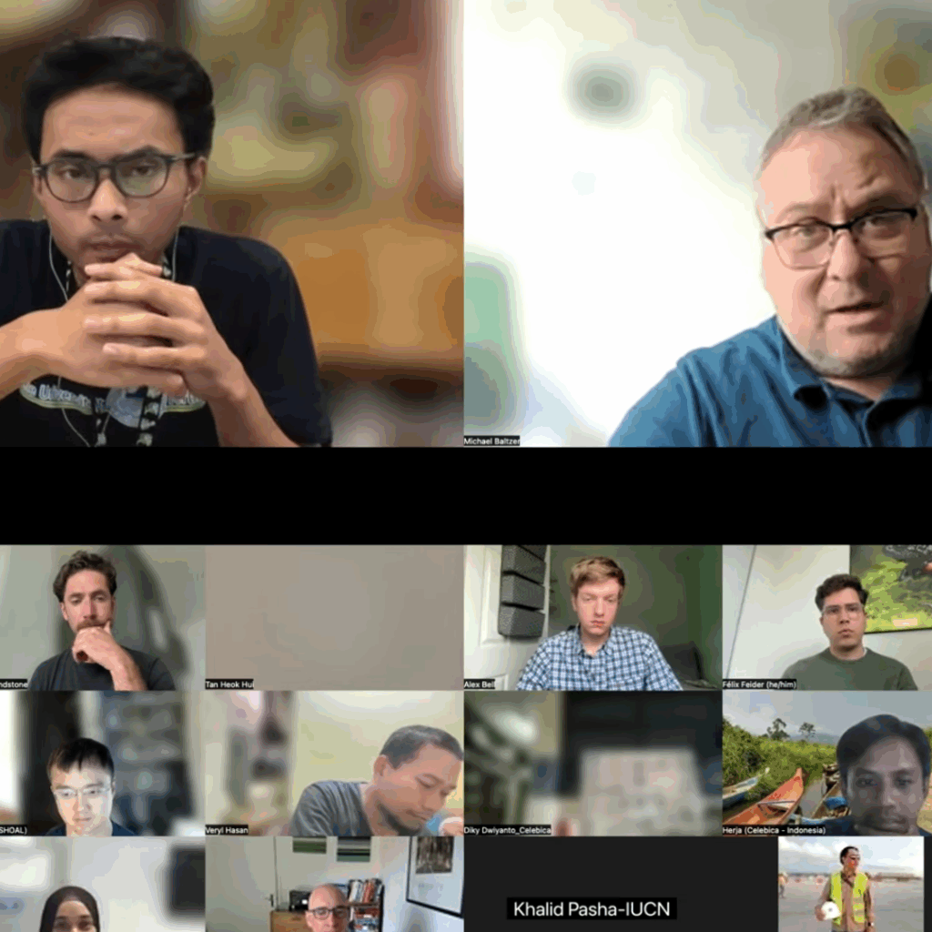 A screenshot of an online webinar hosted by SHOAL, with two main speakers on large screens at the top and 12 smaller screens below.